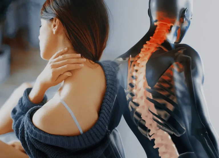 Vertèbre c2 : comprendre son rôle essentiel dans la colonne vertébrale